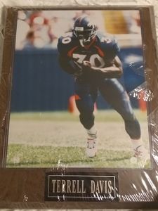 Terrell Davis picture
